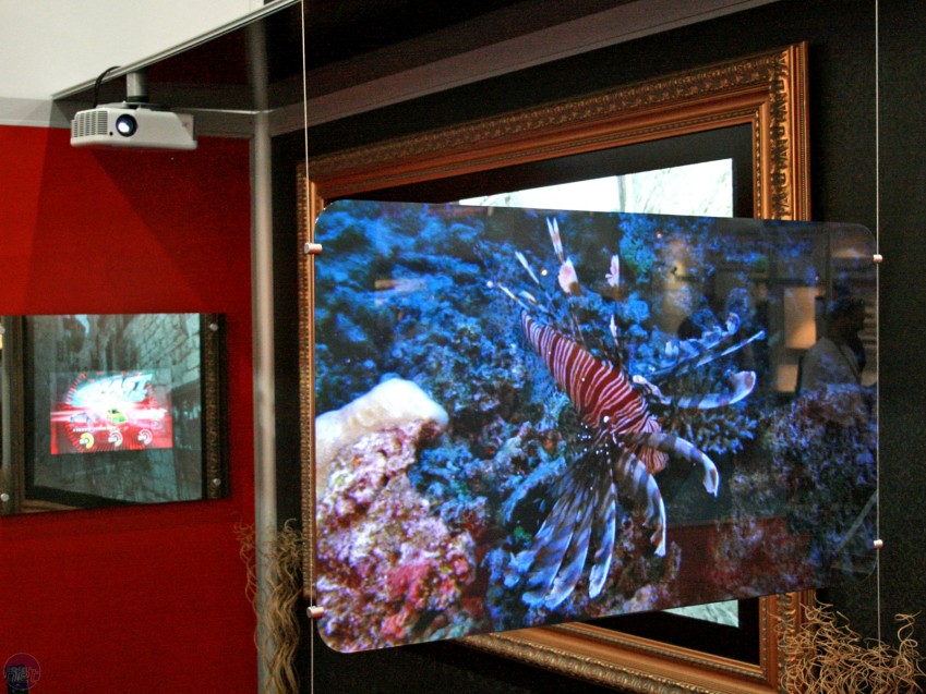 Professional PVC Projection Screen Film for Advertising